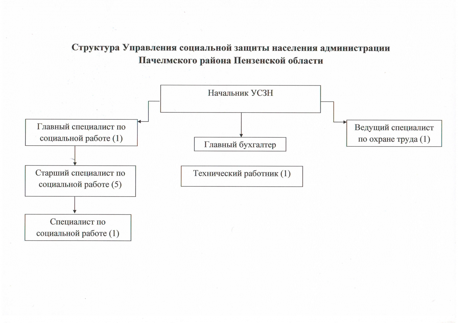 Структура организации
